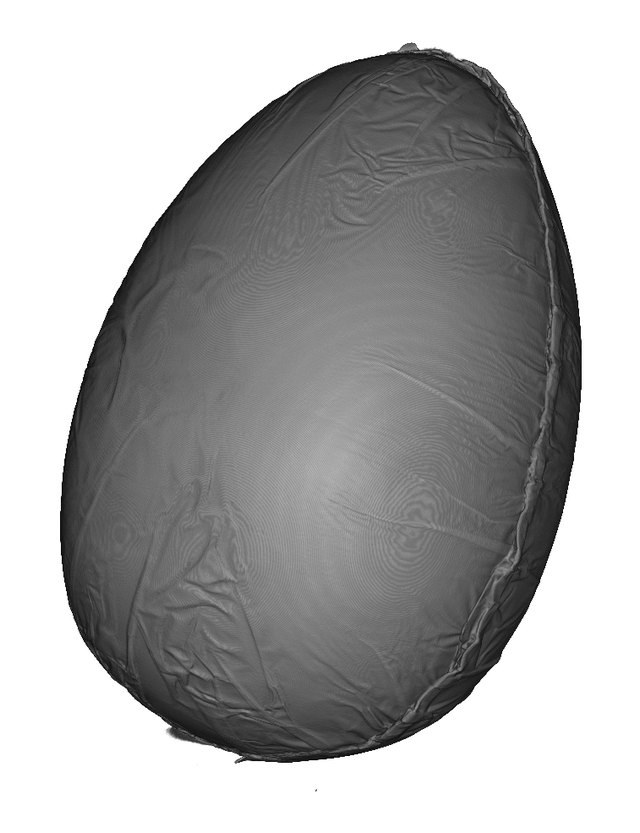 3D reconstruction: the sealed egg