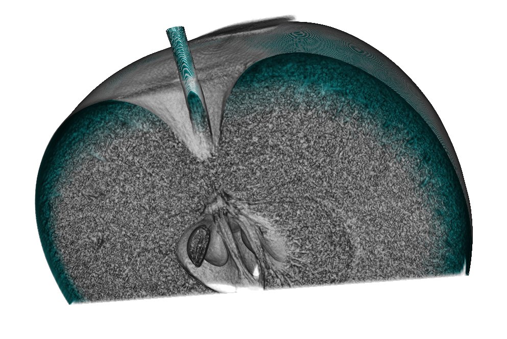 Apple: Quarter cut: seeds in their chambers