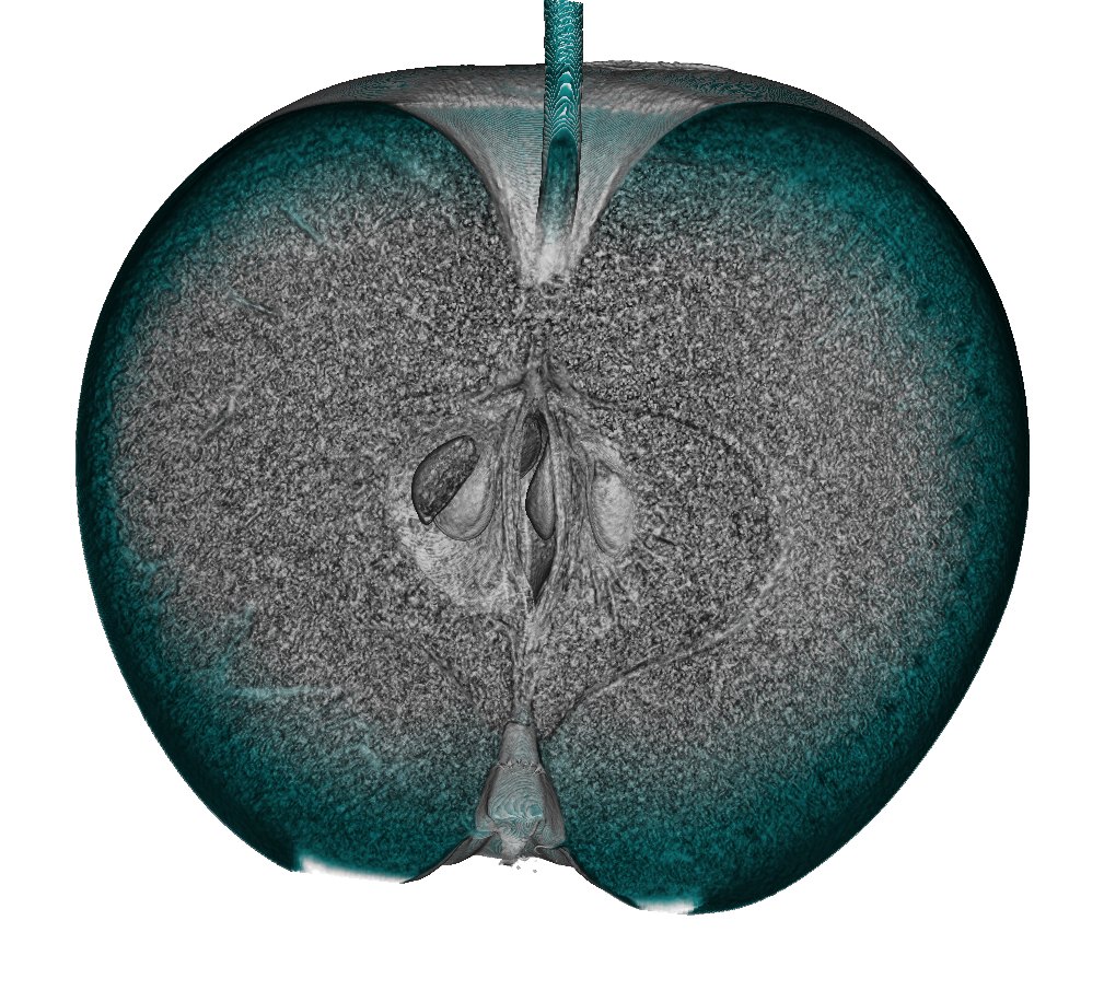 Apple, virtual cut through the core