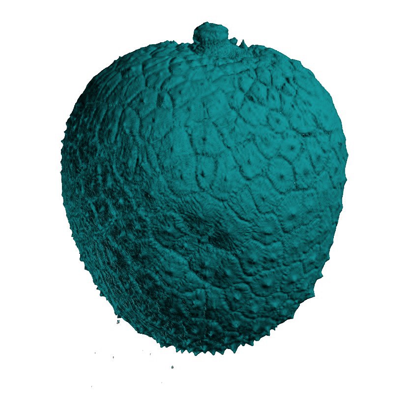 Lychee: 3D surface reconstruction
